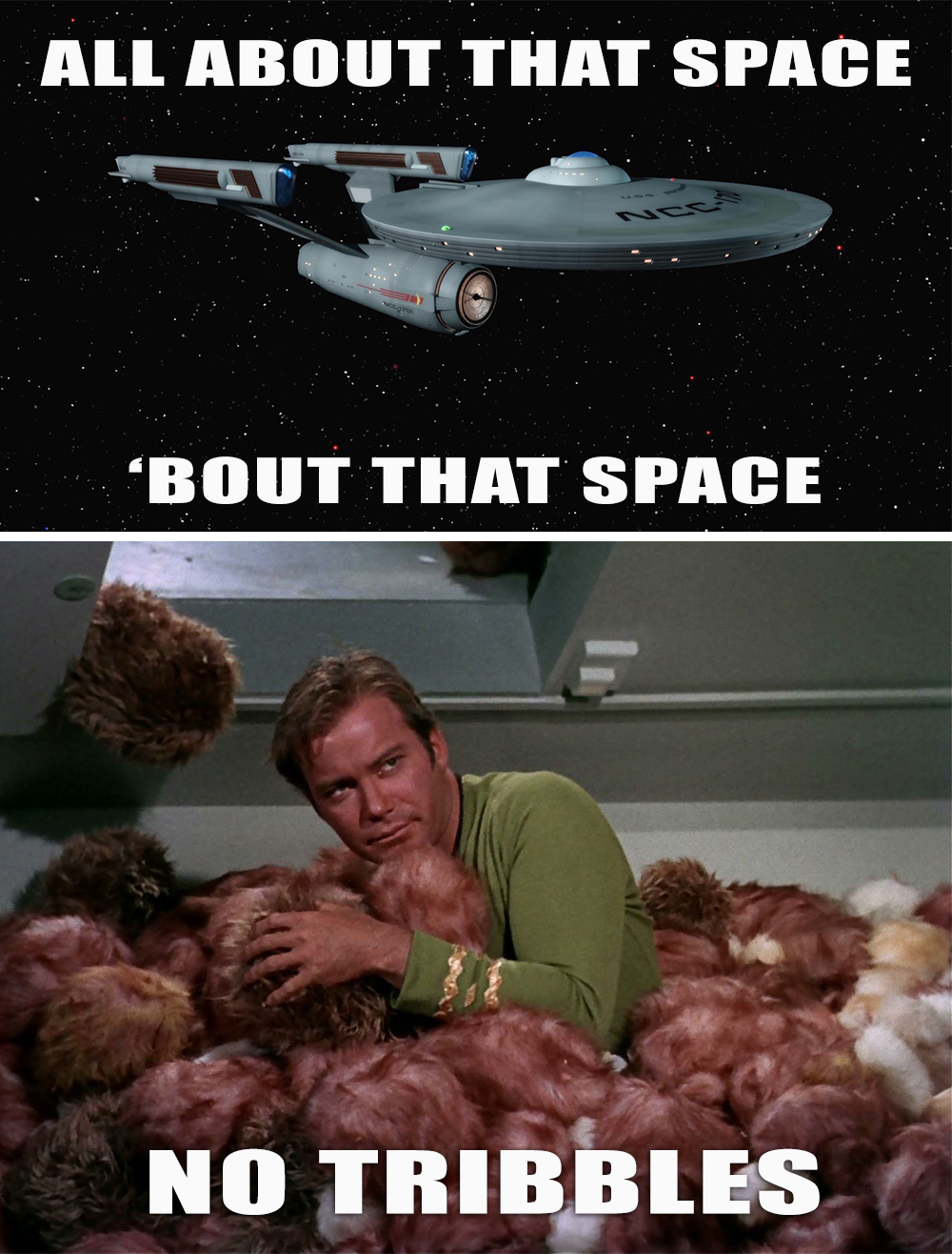 Because I'm All About that Space - No Tribbles.