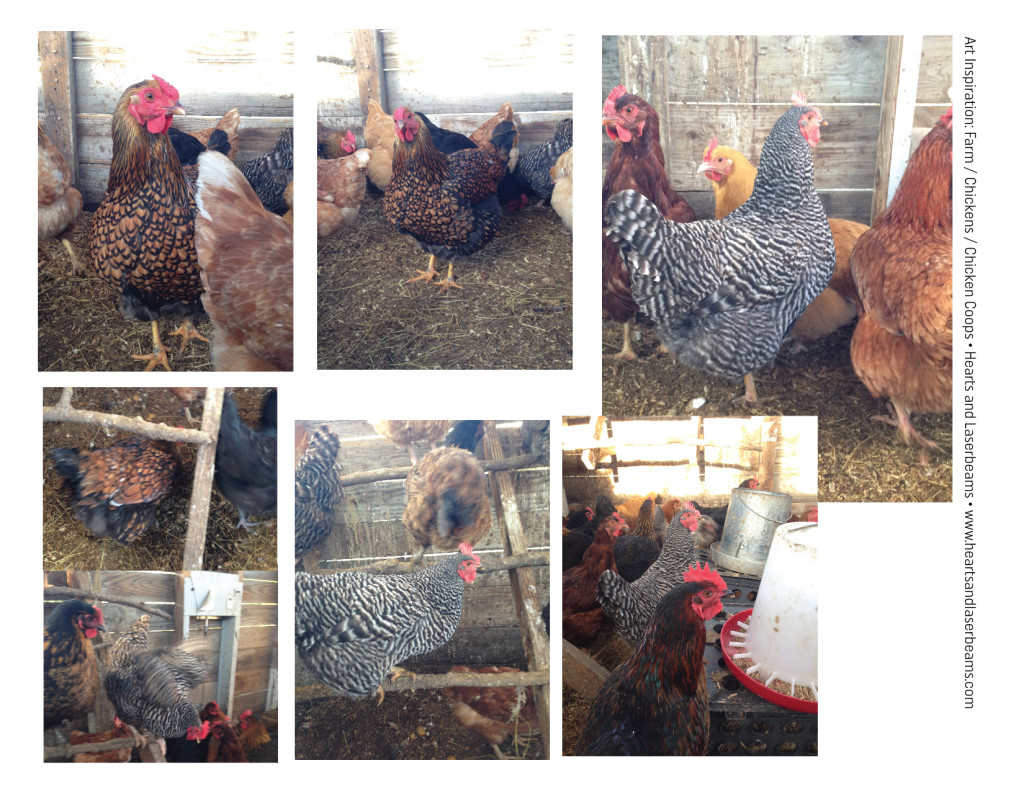 Art Inspiration - Farm, Chickens, Chicken Coops from Steph Calvert of Hearts and Laserbeams