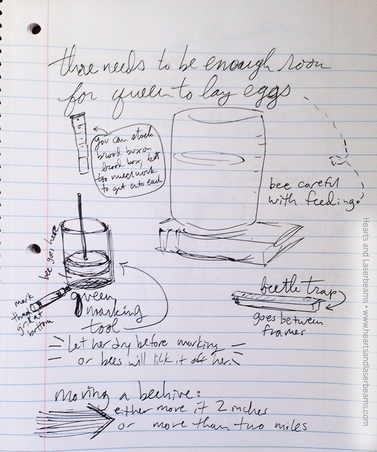 Hand Drawn Notes from Beekeeping Class by Steph Calvert of Hearts and Laserbeams