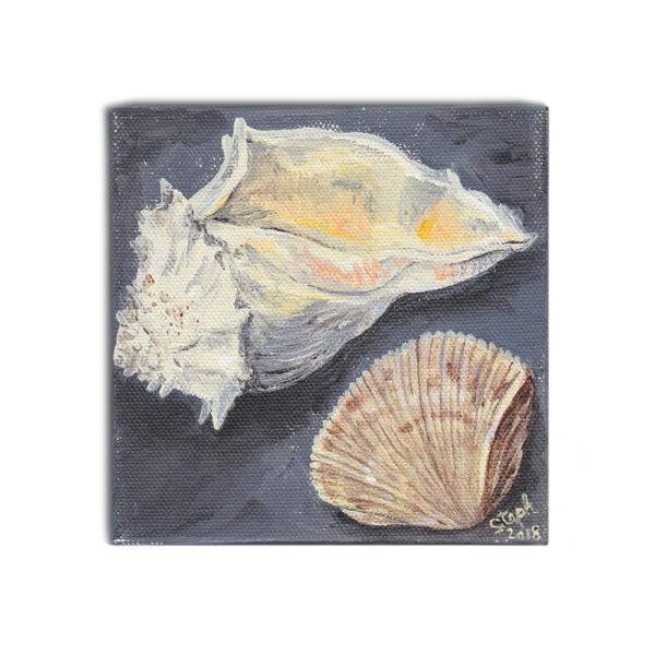 Seashells 1 acrylic painting by Steph Calvert Art
