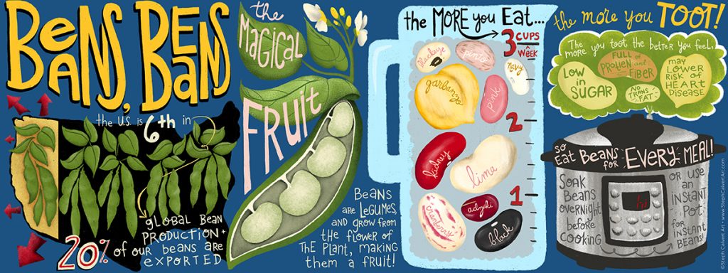beans beans the magical fruit illustrated infographic by steph calvert art