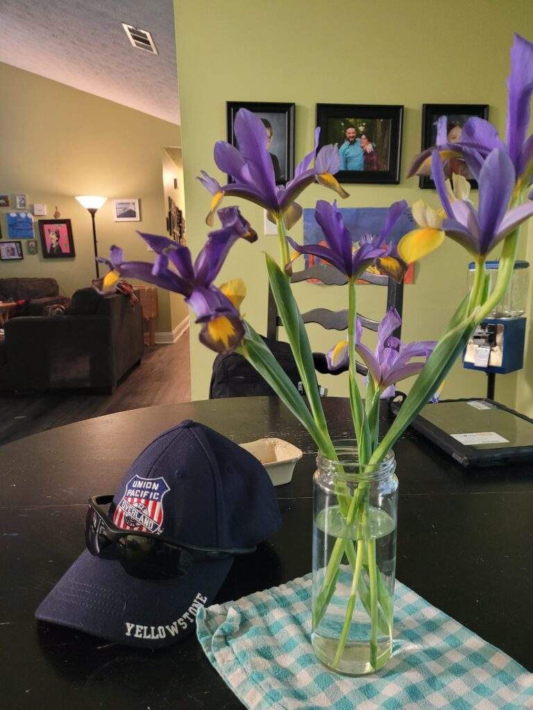 Purple Iris flowers in a mason jar on a dining room table - photo by Steph Calvert Art