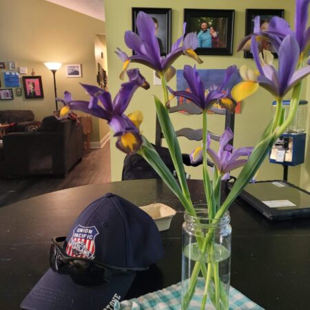 Purple Iris flowers in a mason jar on a dining room table - photo by Steph Calvert Art
