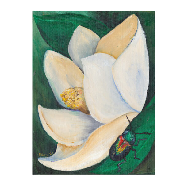 Painted Magnolias - Magnolia and Leaf Beetle 1 - Painting by Steph Calvert Art | https://stephcalvertart.com
