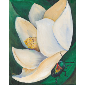 Magnolia And Leaf Beetle 2 Art Print